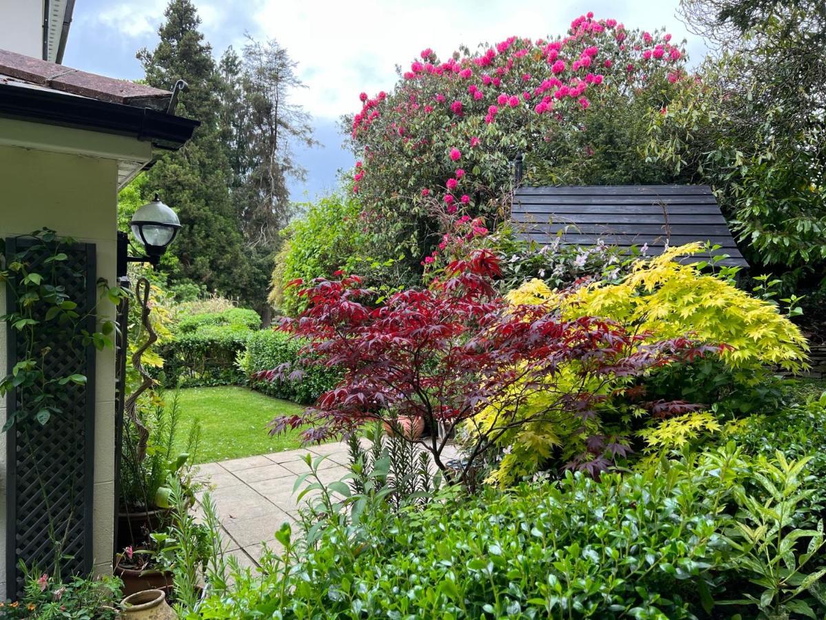 Appartement Hollyhocks Home- 2 Bedroomed Ground Floor Sleeps 5